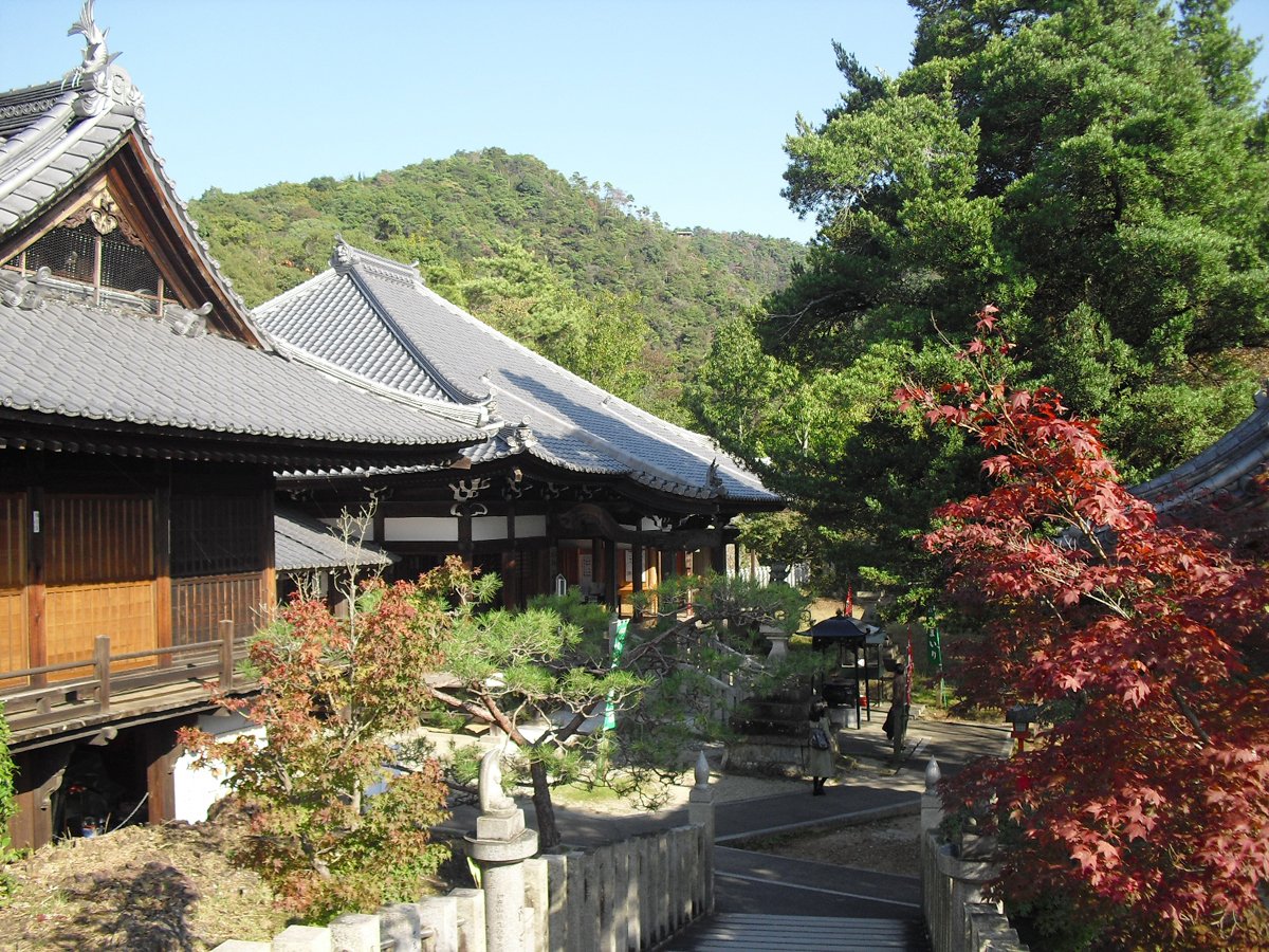 🍁 계록미 관음 적광원 (쓰가오칸논 작코인) 이미지 7